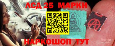 скорость Донской