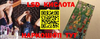 ешки Дубна